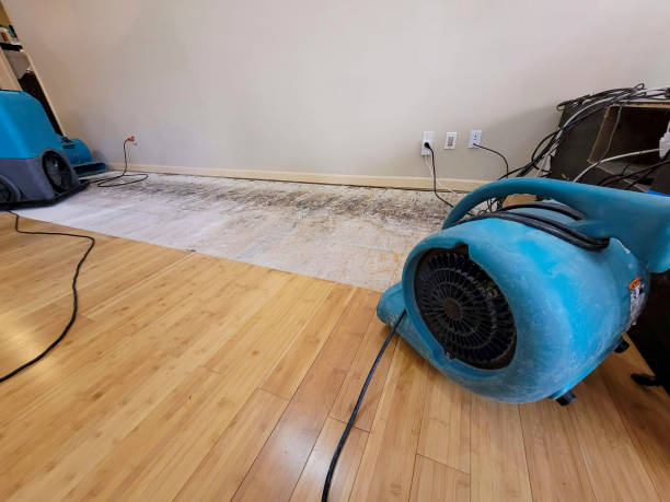 Professional Structural Drying technician working in South Elgin, IL